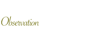 Observation-kaki